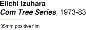 Eiichi Izuhara Com Tree Series, 1973-83 35mm positive film